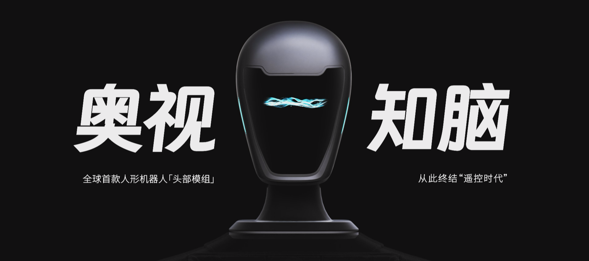 人形机器人 头部模组